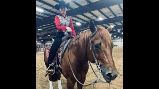 Reining Pattern #12