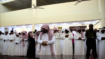 سورة الكافرون بصوت القارئ محمد أحمد العمري من صلاة التراويح بجامع العيافي