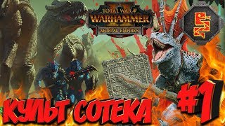 СТРИМ! Total War: Warhammer 2 + мод SFO (Легенда) - Культ Сотека #1