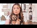 POTTY TRAINING TIPS & WHAT I FEED MY DOG | DOG VLOG