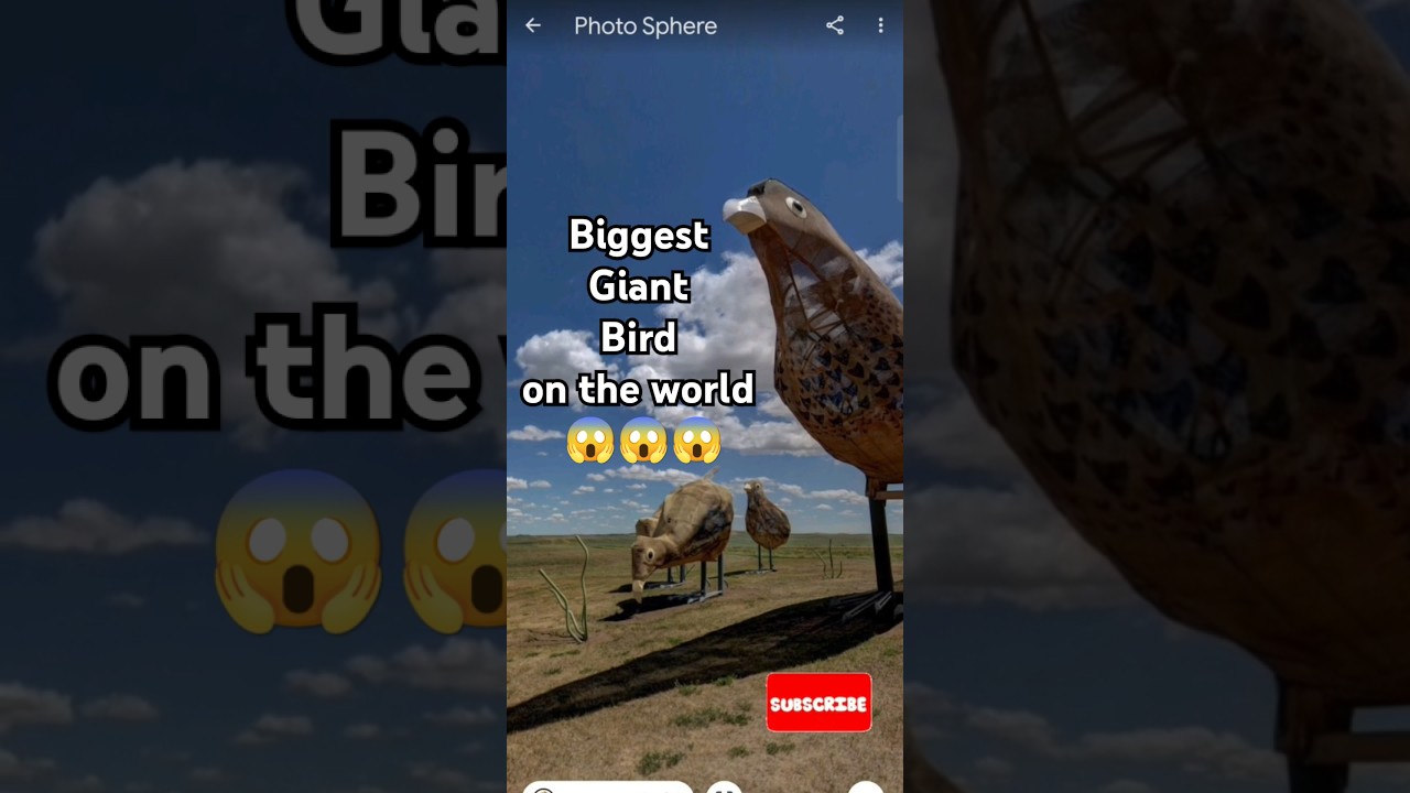 Biggest Giant bird family on the word 