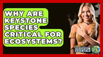 Why Are Keystone Species Critical For Ecosystems? - Ecosystem Essentials