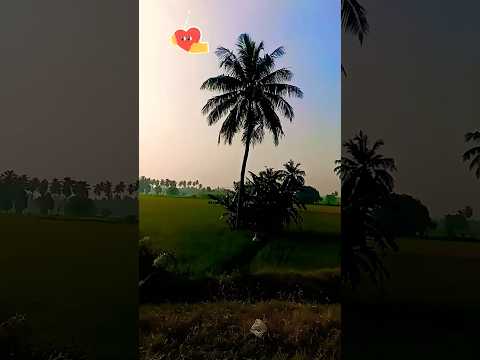 💕Melody Songs🎧💕 #ytshorts#tamilmusic  #travelsongs#ilayaraja  #melodysongs #youtubemusic#spbhits