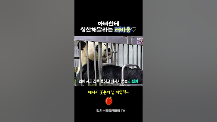 치명적인 러바오♡