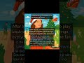 Experiencing Christmas in the Australian Summer #learnenglish