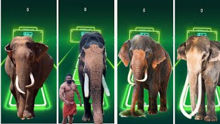 Tiles Hop - Mammoth🆚 Elephant 🆚 Funny Mammoth 🆚 Funny Elephant  🎶 Tiles Hop EDM Rush screenshot 1