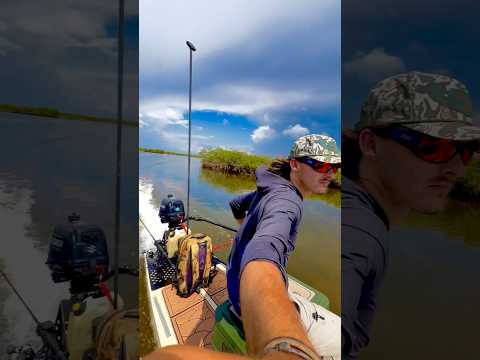 This Hybrid Boat Changes Everything