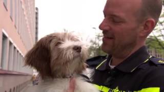 Politiehond Kyara Troost Verdrietige Mensen