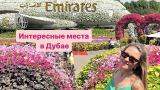 Dubai Miracle Garden (Сад Чудес).Набережная The Pointe.JBR.Дубай 2023.