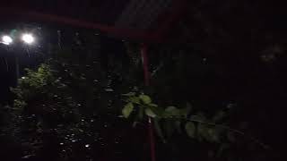 Rainy In my village Night View  Nature Beauty || PU Shorts. screenshot 5