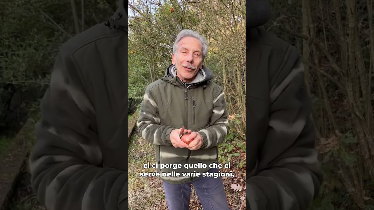 Il Melograno!🤣🍒
