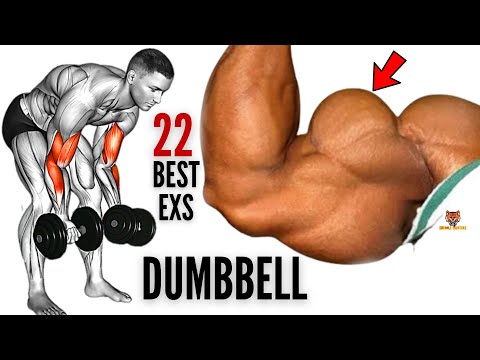 Dan The Hinh - Full Chest Workout with Dumbbell 👉