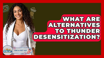 What Are Alternatives To Thunder Desensitization? - Ask A Pet Vet