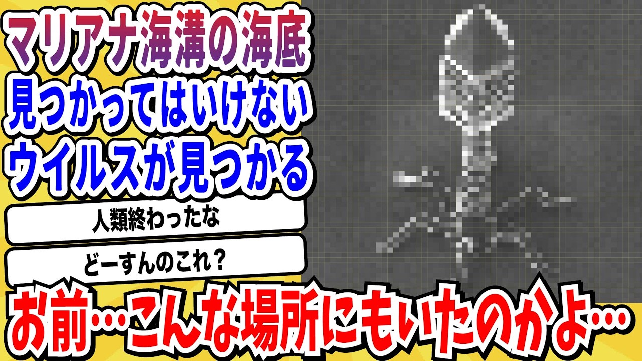 【2ch動物スレ】世界で一番深い場所「マリアナ海溝」で発見された“もの”がヤバすぎるwwwww【なんj/にちゃん 面白いスレ】