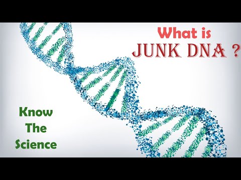 Video: Vad är skräp-DNA och vad är dess syfte?