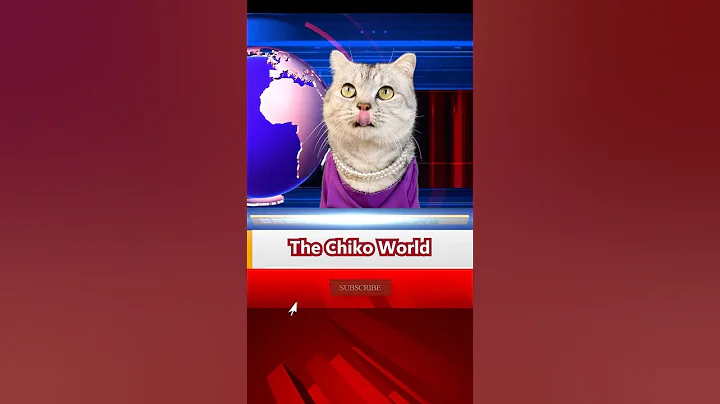 Video 7708161: cat funny pets dog, pets mom