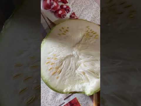 Арбузный кабачок в разрезе - YouTube
