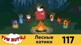 Три кота | Серия 117 | Лесные котики