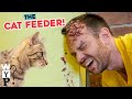 The Cat Feeder  |  What's Your Problem?