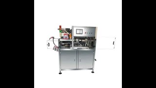 Automatic linear two head spout pouch filling capping machine