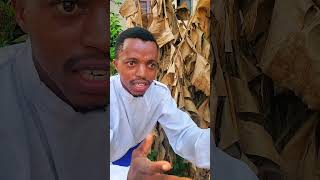 I CAUGHT HIM #nollywoodaction #funnyclip #comedy #adventure #funnymoment