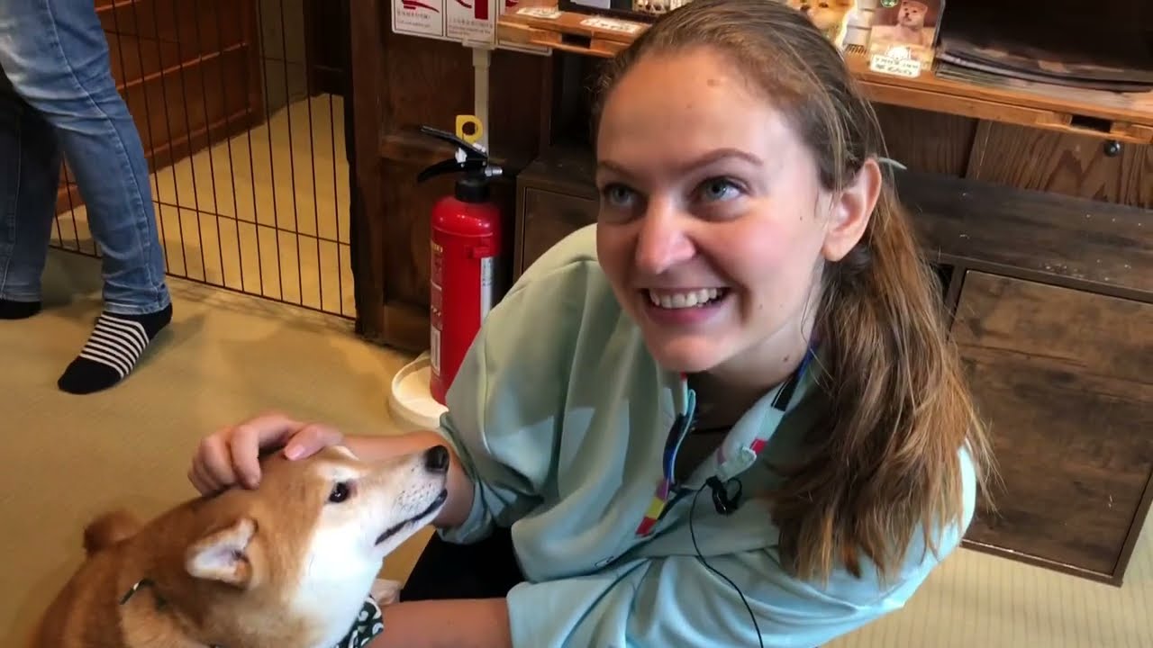 Shiba-inu dogs cafe coffee art in Tokyo 🇯🇵 post Olympics. Exploring Harajuku district 😍