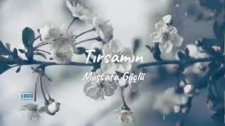 احلى اغنية كردية Tirsamin(مترجمة للعربية ) Resimi