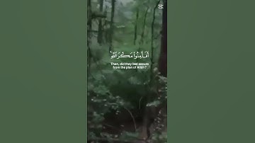 في رحاب القران الكريم