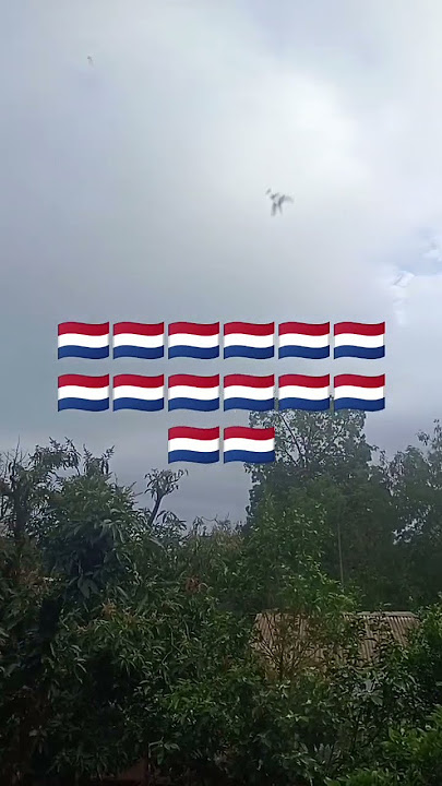 Paraguay 5 things I didn't know🇳🇱🇳🇱🇳🇱🇳🇱🇳🇱🇳🇱❣️