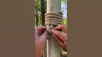 An Incredible Knot 🤯#camping #survival #bushcraft #outdoors