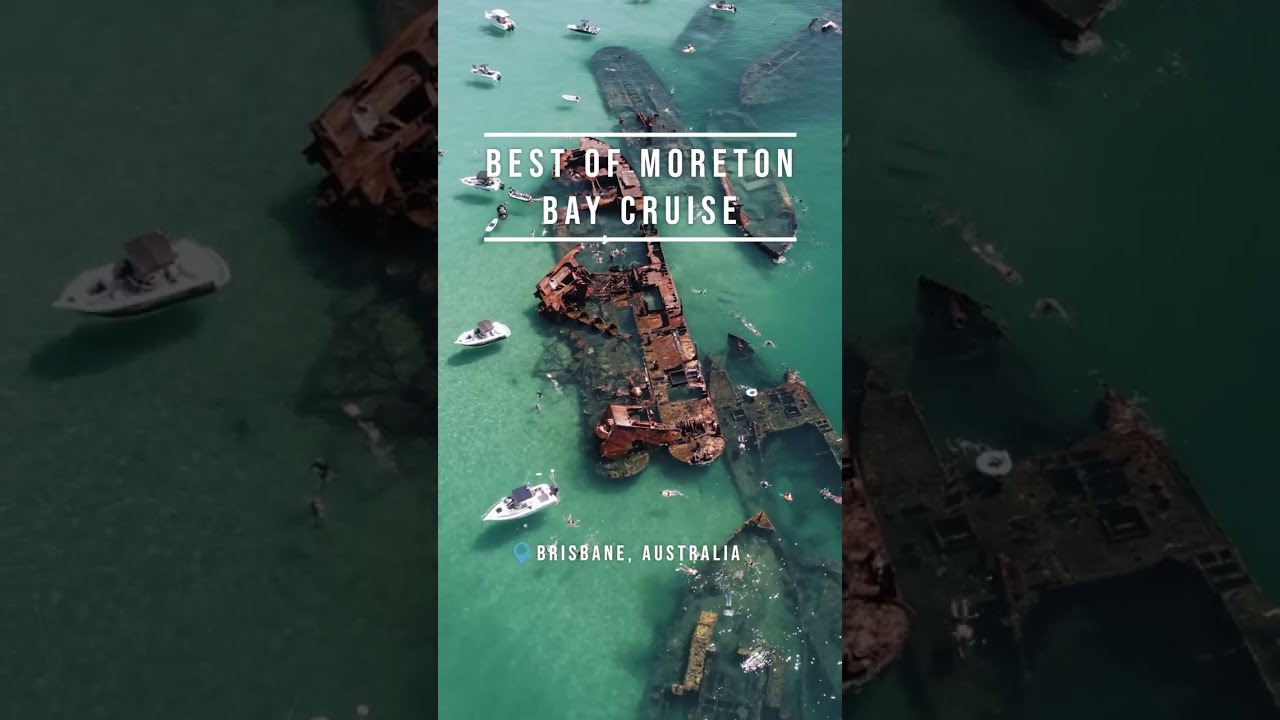 Best of Moreton Bay Cruise | Things to Do | Queensland