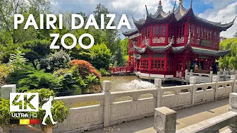 Pairi Daiza Zoo 🐘 Animal Paradise inside Belgium - Slow TV 4K