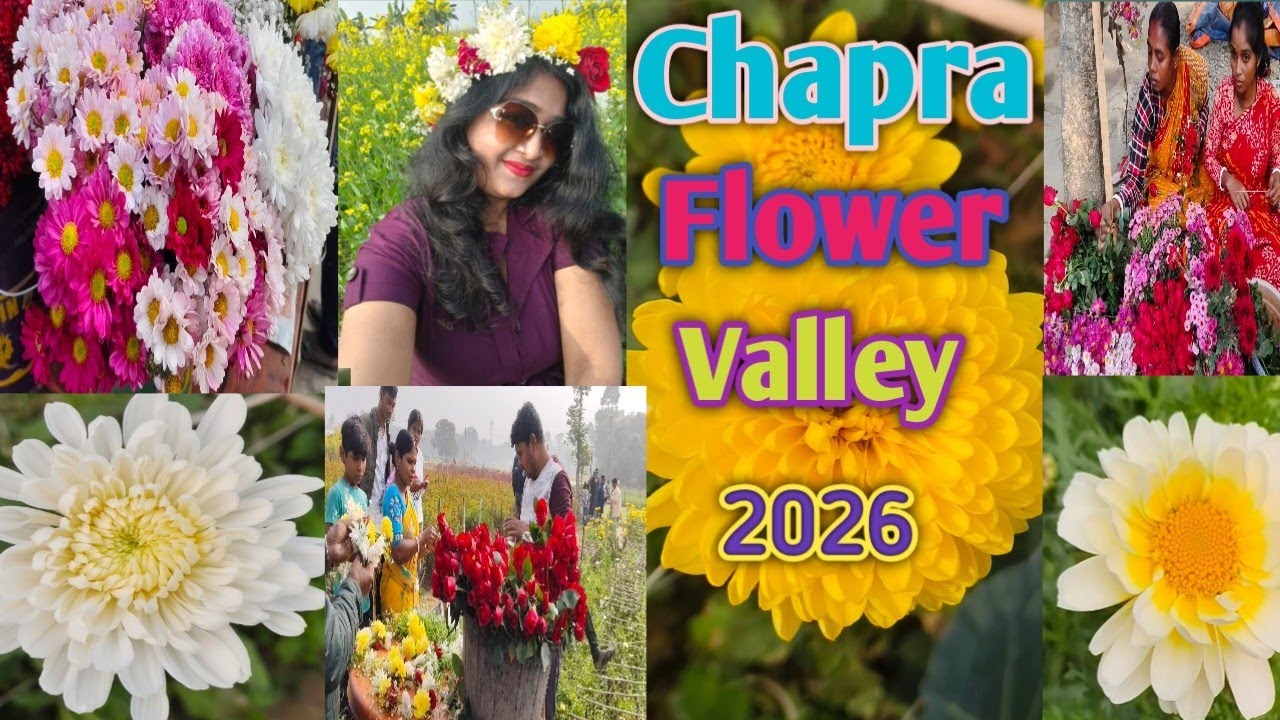 Ranaghat Chapra Flower Valley 2026🌹