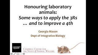 Honouring laboratory animals: Some ways to apply the 3Rs... and to improve a 4th | Dr. Georgia Mason