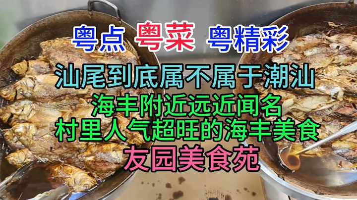 粤点粤菜粤精彩，汕尾到底属不属于潮汕，海丰附近远近闻名，村里超旺的海丰美食，友园美食苑，粤语中字幕2023-7-22 - 天天要闻