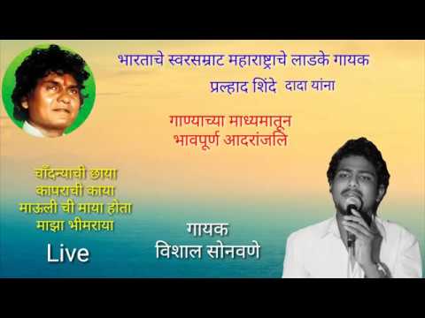   live bhim song