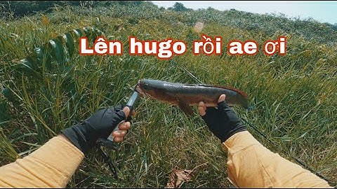 1 buổi sáng đầy may mắn lên được em hugo,câu cá lóc bằng mồi TNQ - MIN THÍCH CÂU VLOG #12