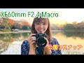 マクロレンズをFUJIFILM X-T4 につけてスナップ！