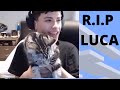 GeorgeNotFound Cat Passes Away (Luca Tribute)