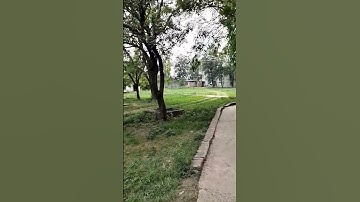 MPhil hostels #qau #lovetravel