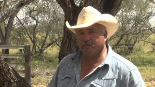 King Ranch Roundup