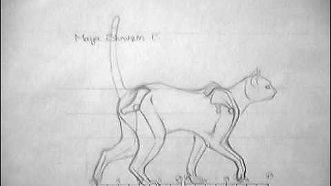 Four legged walk cycle - Cat