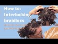 Semi-permanent hair dye results on locs & How to interlock braidlocs