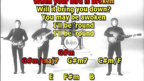 And your bird can sing Beatles no solo/leadguitar  lyrics chords cover
