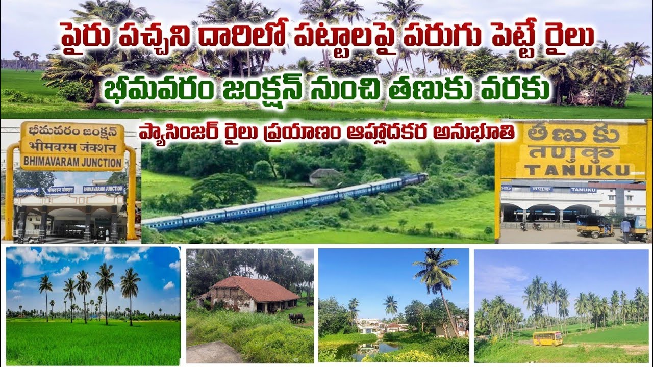 ఓ ఆహ్లాదకరఉదయంవేళ..పచ్చనిపైరుపంటలరైలుదారిలో భీమవరం-తణుకు మధ్య రైలుప్రయాణంఅద్భుత అనుభూతి 