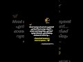 ഫുഡ് സ്വിങ്സ് 😁#islamicstatus #islamicshorts #islamicvideo #quran #quotes #islam #islamic #shorts
