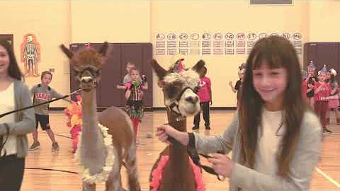 Donaldson Elementary School 2019 - Greatest School