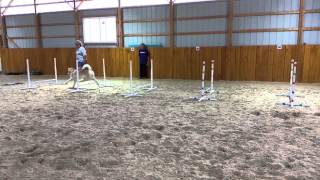 Magic Jumping Equal Distance Grid