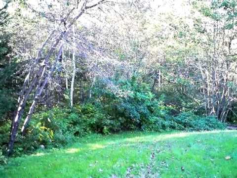 38 Rocque Ln, Augusta, ME home video tour