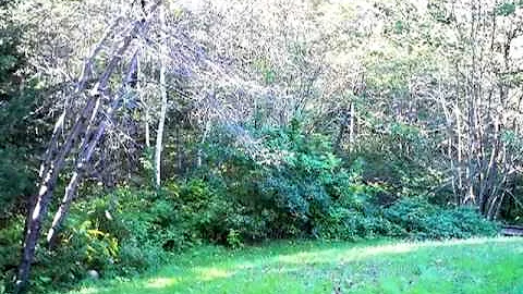 Homes for Sale - 38 Rocque Ln Augusta ME 04330 - J...
